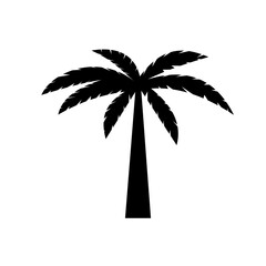 Silhoutte Coconut Tree