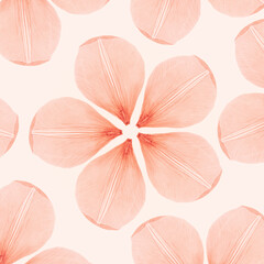 Abstract nature flower from pale pink petals, natural texture pressed petal in shape bloom on light background. Macro texture natural trend, minimal design card, invitation, monochrome aesthetic