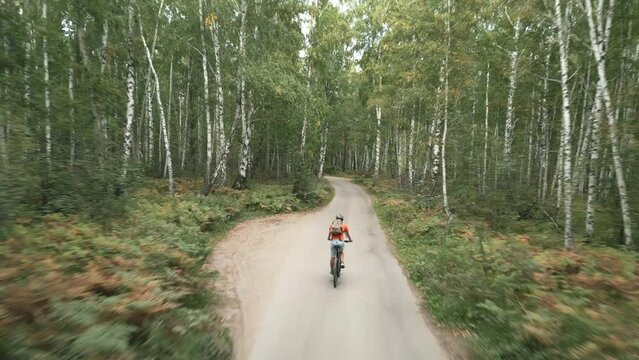 A tourist cyclist in a helmet with a backpack walks along the road in a picturesque forest on a mountain bike. Shooting from a drone from the back