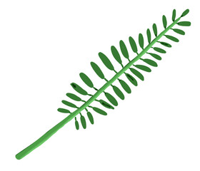 Ecology Concepts, Capture the essence of nature with this lively illustration of fresh, green leafy leaves. Versatile and perfect for adding a touch of natural beauty to any creative endeavor.
