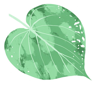 Exquisite illustration capturing the intricate details of a heart-shaped leaf, showcasing nature's artistry and evoking feelings of love and serenity. Perfect for diverse creative projects.
