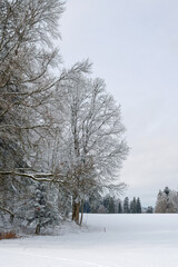 Paysage rural enneigé