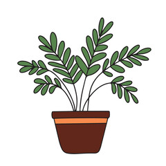 Houseplant colored outline. Hand drawn houseplant in doodle style isolated on white background. Vector illustration.