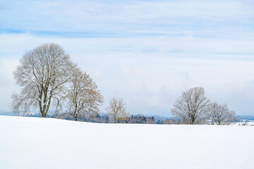 Paysage rural enneigé