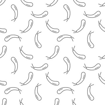 Spirillum vector Gram negative bacteria outline seamless pattern