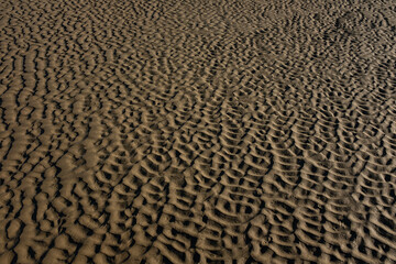 Beach patterns