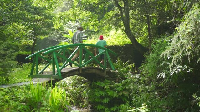 Trekers  exploring dense tropical jungle and rainforest in himalayas, Sainj Valley, Himachal Pradesh, India.