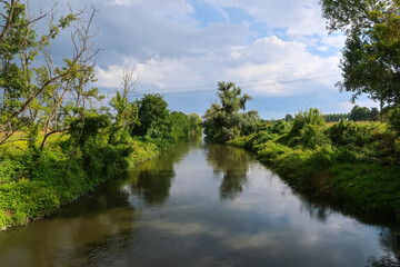 Fototapeta na wymiar Olona river panorama nature natural landscape vision water plants beautiful
