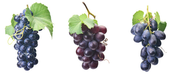 Grapes isolated on white