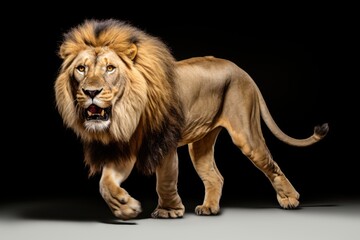 Obraz premium Side View of Lion Running in Scientific Graphy AI Generated