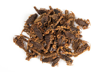 Obraz premium Dried scorpion isolated on White Background