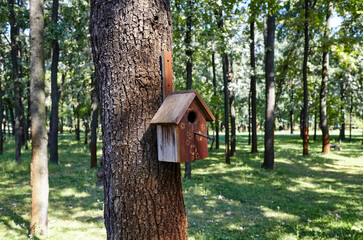 A wooden nesting box hanging on a tree. Feeder for birds in the city park