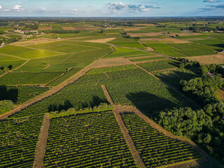 Aerial view Bordeaux Vineyard at sunrise, Entre deux mers, Gironde. High quality photo