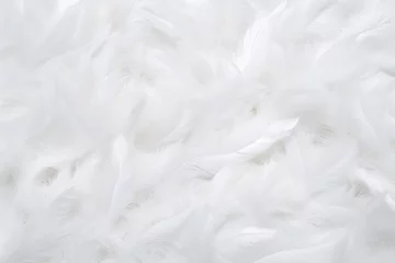 Fotobehang angel purity copy animal eagle angle feather abstract background space wedding white fluffy Abstract fairy surface white easter c lightweight bird background bright texture feather dream beautiful © sandra