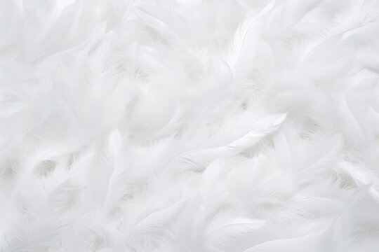 angel purity copy animal eagle angle feather abstract background space wedding white fluffy Abstract fairy surface white easter c lightweight bird background bright texture feather dream beautiful © sandra