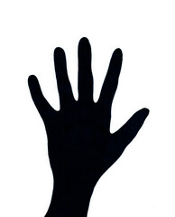 Silhouette of a hand in black on a white background. Thin wrist, delicate fingers. Left hand.