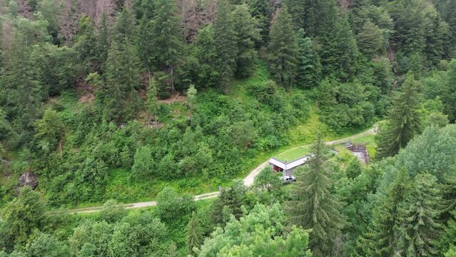 Lines and walks in drone of the scouts group helps to know yourself. The youngest most beautiful experiences