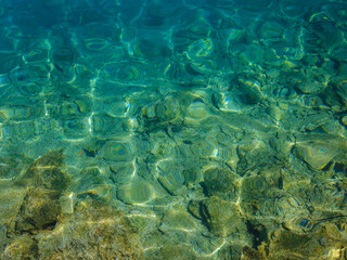 Fototapeta na wymiar Underwater Sea - Deep clean With Blue Sun light. sea background in sunny summer day