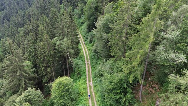 Lines and walks in drone of the scouts group helps to know yourself every morning of seraching
