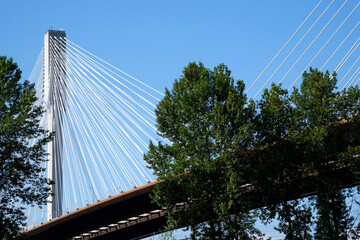 Obraz premium port mann bridge canada over the Fraser River in BC bottom side view closeup zoom huge white stretched cables hold a large bridge Port Coquitlam, Greater Vancouver, British Columbia, Canada 2023