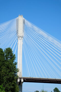 port mann bridge canada over the Fraser River in BC bottom side view closeup zoom huge white stretched cables hold a large bridge Port Coquitlam, Greater Vancouver, British Columbia, Canada 2023 © Oleksandra