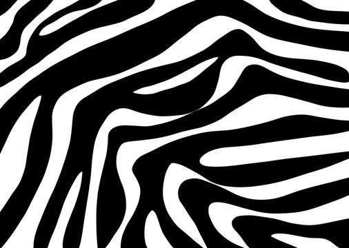 zebra skin lines.