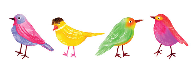 colorful cute bird watercolor vector illustration