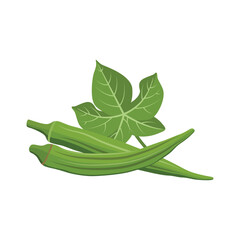 Vecktor illustration of Okra, Okura Okazu, ladyfinger, bamia or Bhindi. Fresh green vegetable, asian cooking ingredient. Whole and sclice. Healthy vegetarian food. Flat vector in cartoon style.