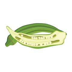 Vecktor illustration of Okra, Okura Okazu, ladyfinger, bamia or Bhindi. Fresh green vegetable, asian cooking ingredient. Whole and sclice. Healthy vegetarian food. Flat vector in cartoon style.
