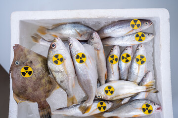 Radioactive Contaminated Fish Concept