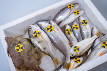 Radioactive Contaminated Fish Concept - obrazy, fototapety, plakaty