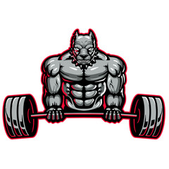 muscular bodybuilder pit bull dog with heavy barbell, vector, logo, cartoon, mascot, character, illustration