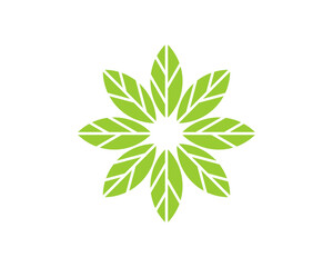 Circular green leaves forming a flower shape vector