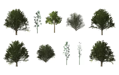 Rolgordijnen Realistic side view trees, shrub, bamboo © GRASSS.H