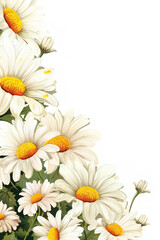 Fototapeta premium daisy border clipart