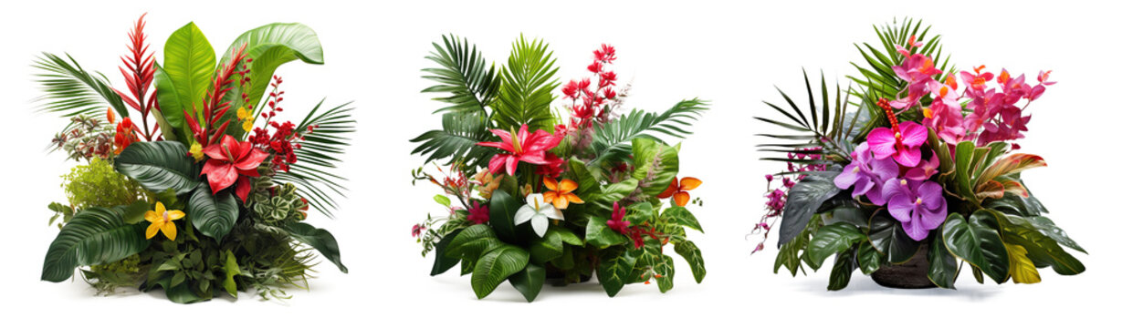 Set of flowers and leaves of tropical plants bush (Monstera, palm, hibiscus, bird’s nest fern) floral arrangement indoors garden nature backdrop . Isolated on transparent background