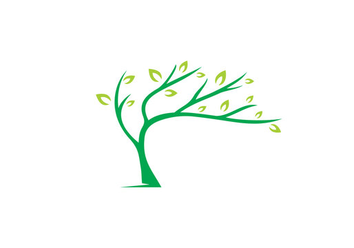 tree logo design. plant nature life symbol vector illustration