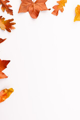 Fototapeta premium Vertical image of autumn leaves with copy space on white background