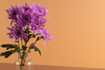 Purple flowers in glass vase and copy space on orange background