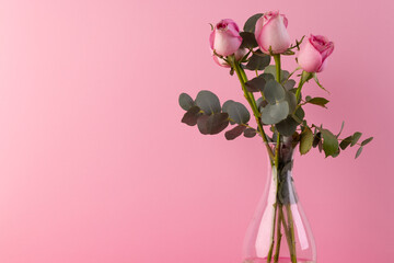 Obraz premium Pink rose flowers in glass vase and copy space on pink background