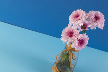 Pink flowers in glass vase and copy space on blue background