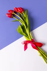  Vertical image of bunch of red tulips and copy space on purple and white background © vectorfusionart