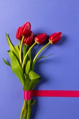  Vertical image of bunch of red tulips and copy space on purple background © vectorfusionart