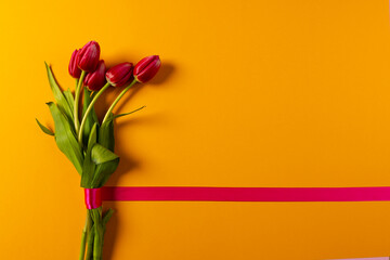 Bunch of red tulips with red ribbon and copy space on orange background