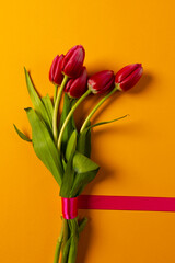 Vertical image of bunch of red tulips with red ribbon and copy space on orange background
