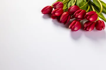 Foto op Plexiglas Bunch of red tulips with copy space on white background © vectorfusionart