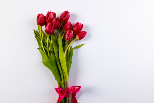 Bunch of red tulips with copy space on white background