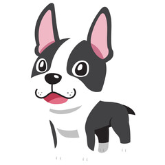 Cartoon character cute boston terrier dog for design.