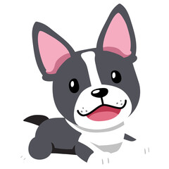 Character a boston terrier dog for design.