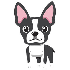 Character cute boston terrier dog for design.